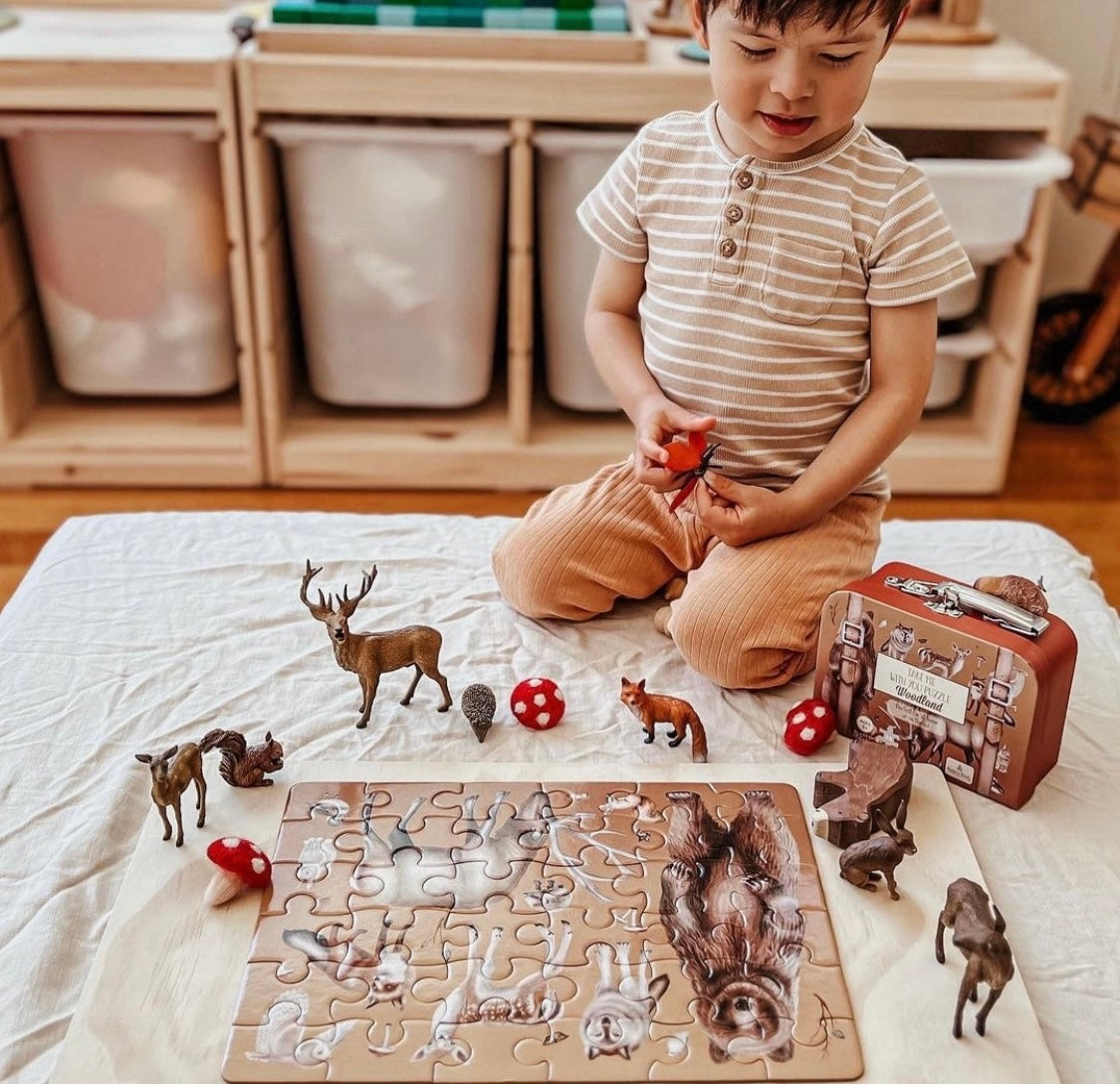 Modern Monty Woodland “take me with you” puzzle