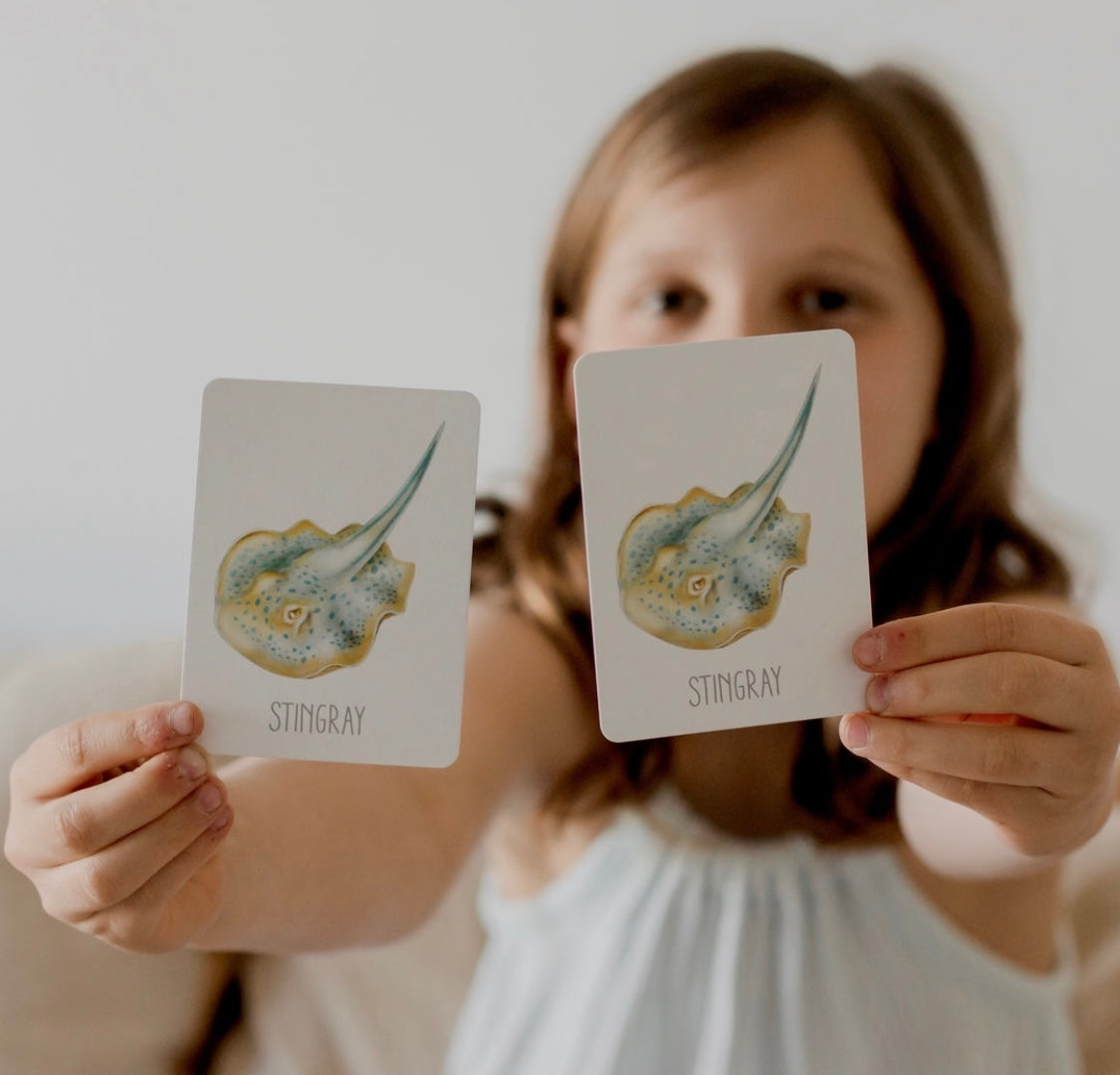 Modern Monty Ocean snap & go fish (2 card games in 1)