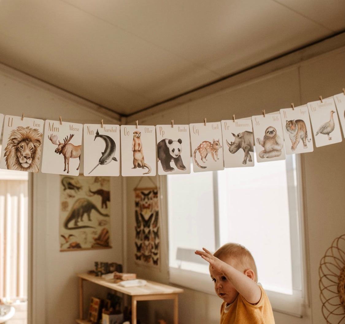 Modern Monty Animal alphabet flash cards