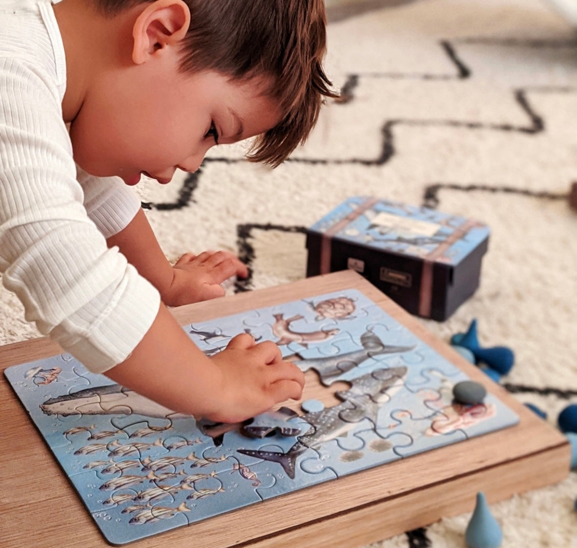 Modern Monty Ocean “take me with you” puzzle