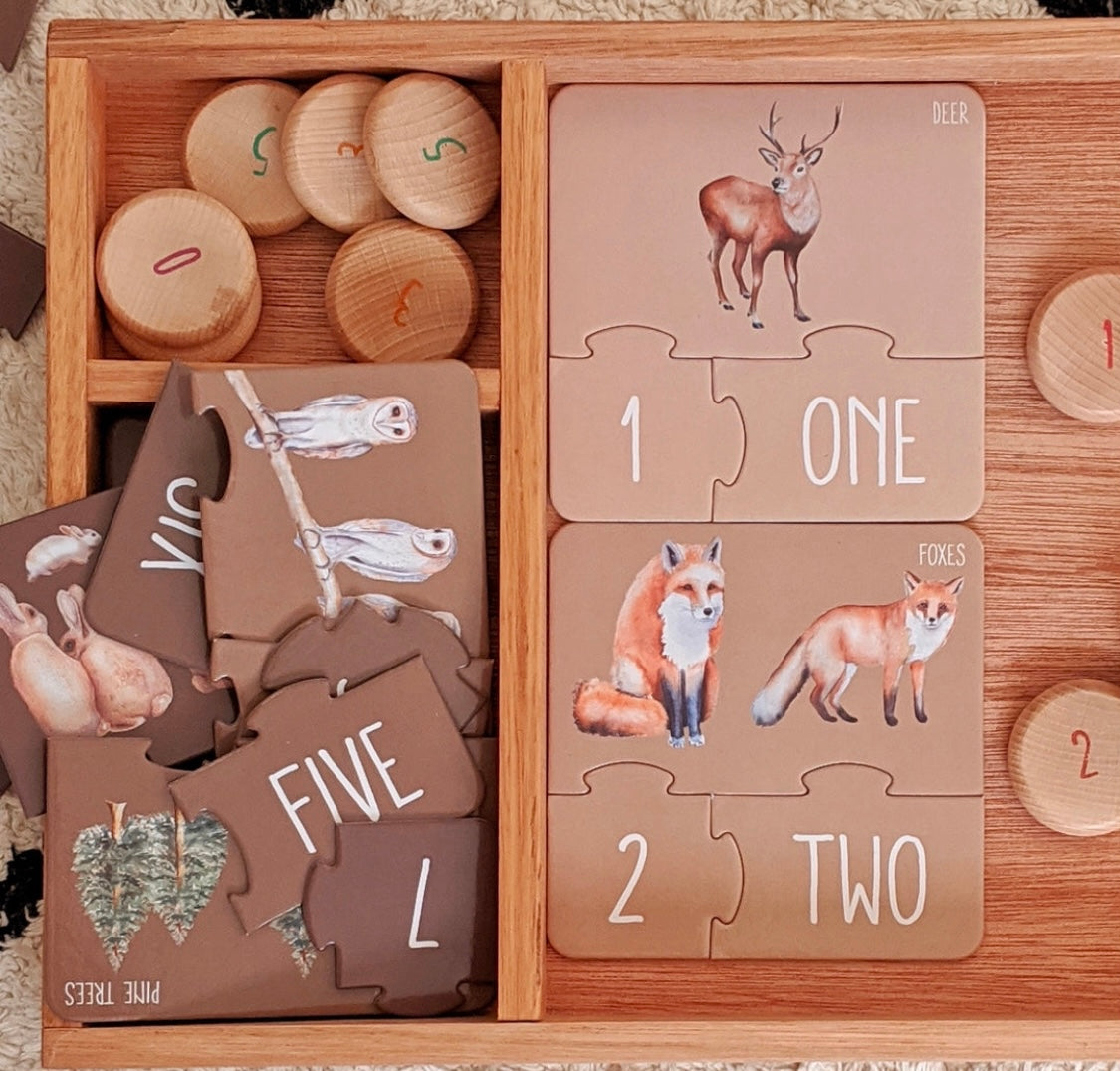 Modern Monty Woodland counting puzzle