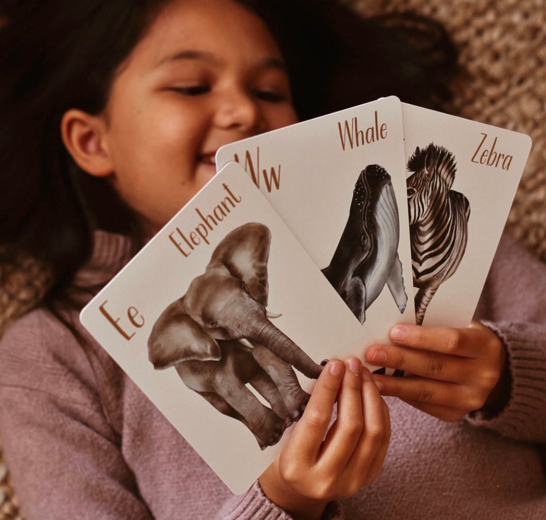 Modern Monty Animal alphabet flash cards