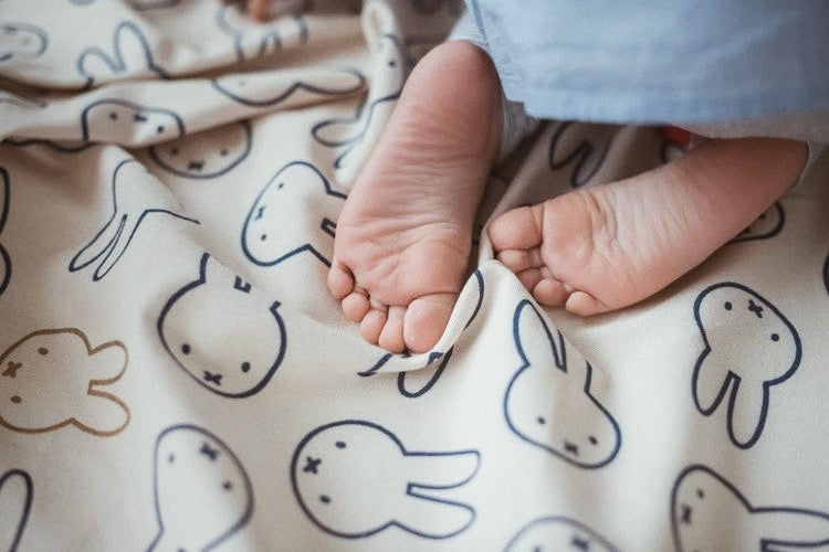 Play&Go Miffy Standard Toy Storage Bag