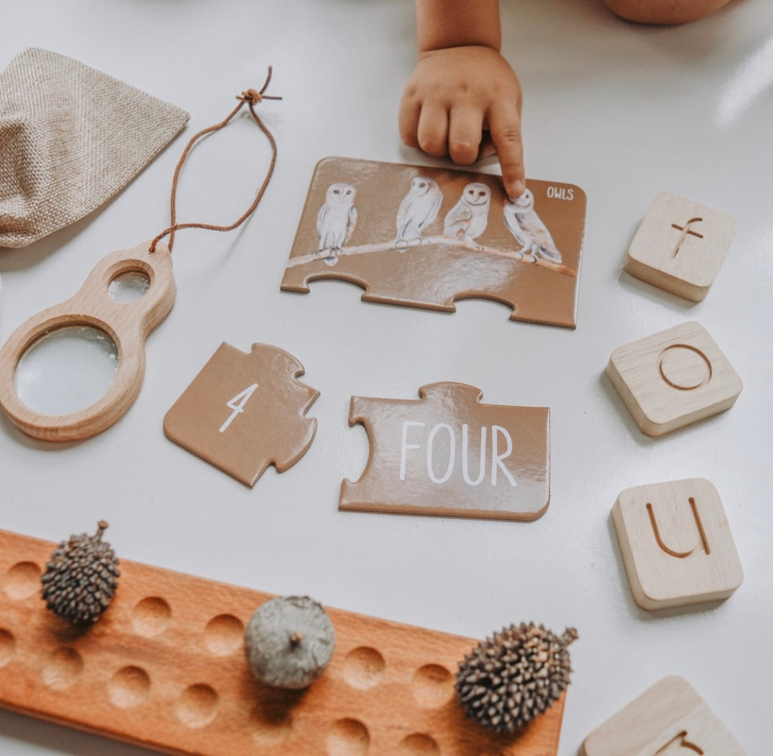 Modern Monty Woodland counting puzzle