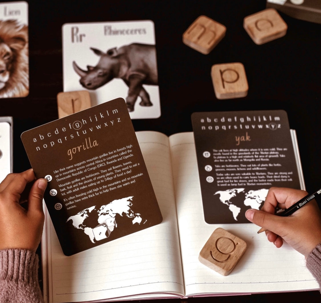 Modern Monty Animal alphabet flash cards