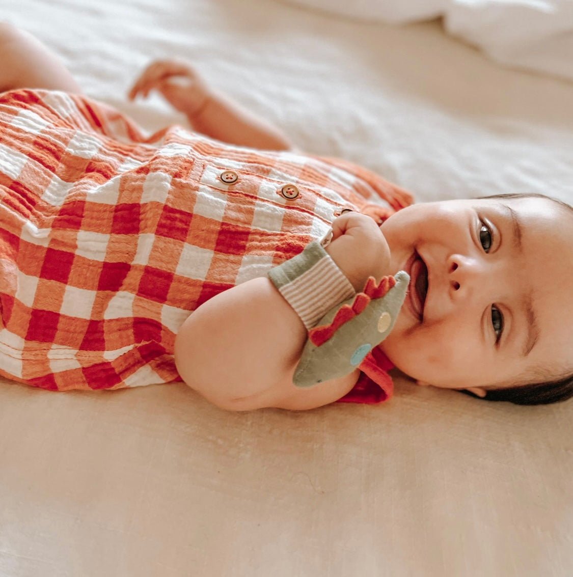 Itzy Bitzy Wrist Rattle
