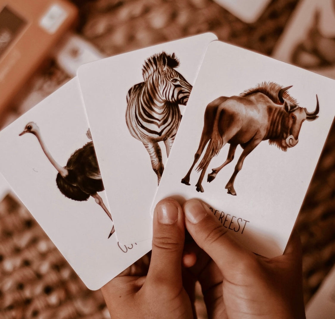 Modern Monty Africa snap & go fish (2 card games in 1)