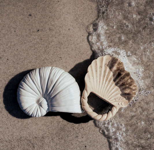 Ocean Sea Shell Teether Set | 2-pack