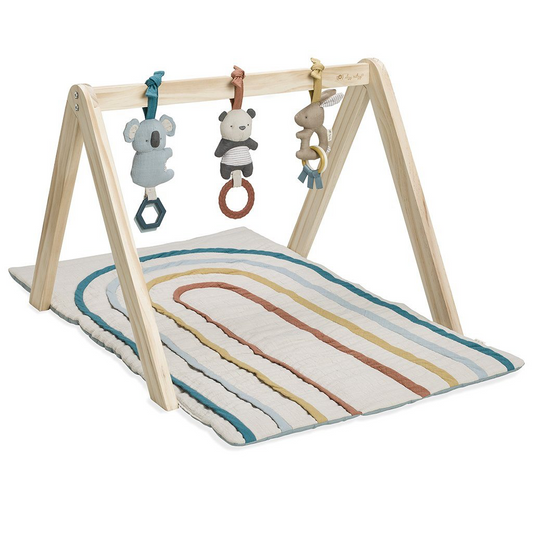 Bitzy Bespoke™ Ritzy Activity Gym & Play mat